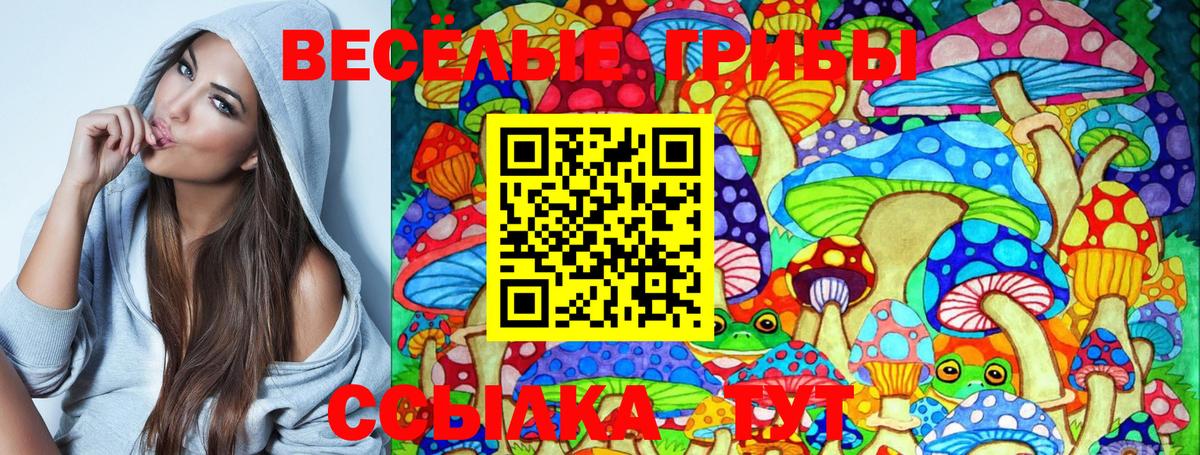 Псилоцибиновые грибы Psilocybine cubensis Балахна