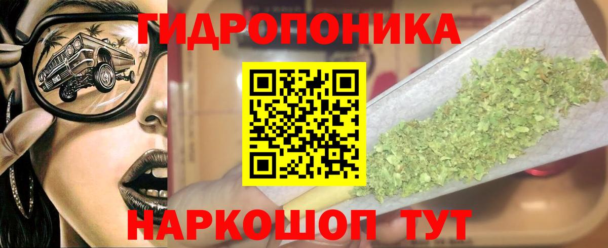 Канабис ГИДРОПОН Балахна